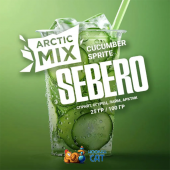 Табак Sebero Arctic Mix Cucumber Sprite (Спрайт Огурец Лайм Арктик) 25г Акцизный